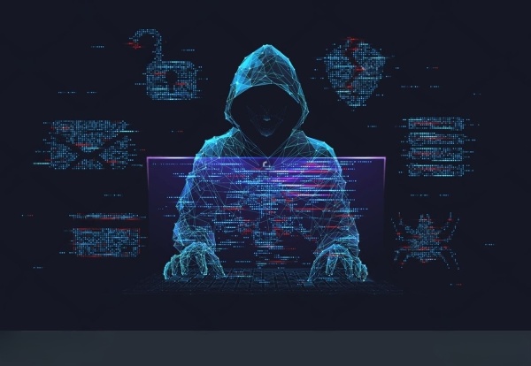 Citizen Cyber Fraud